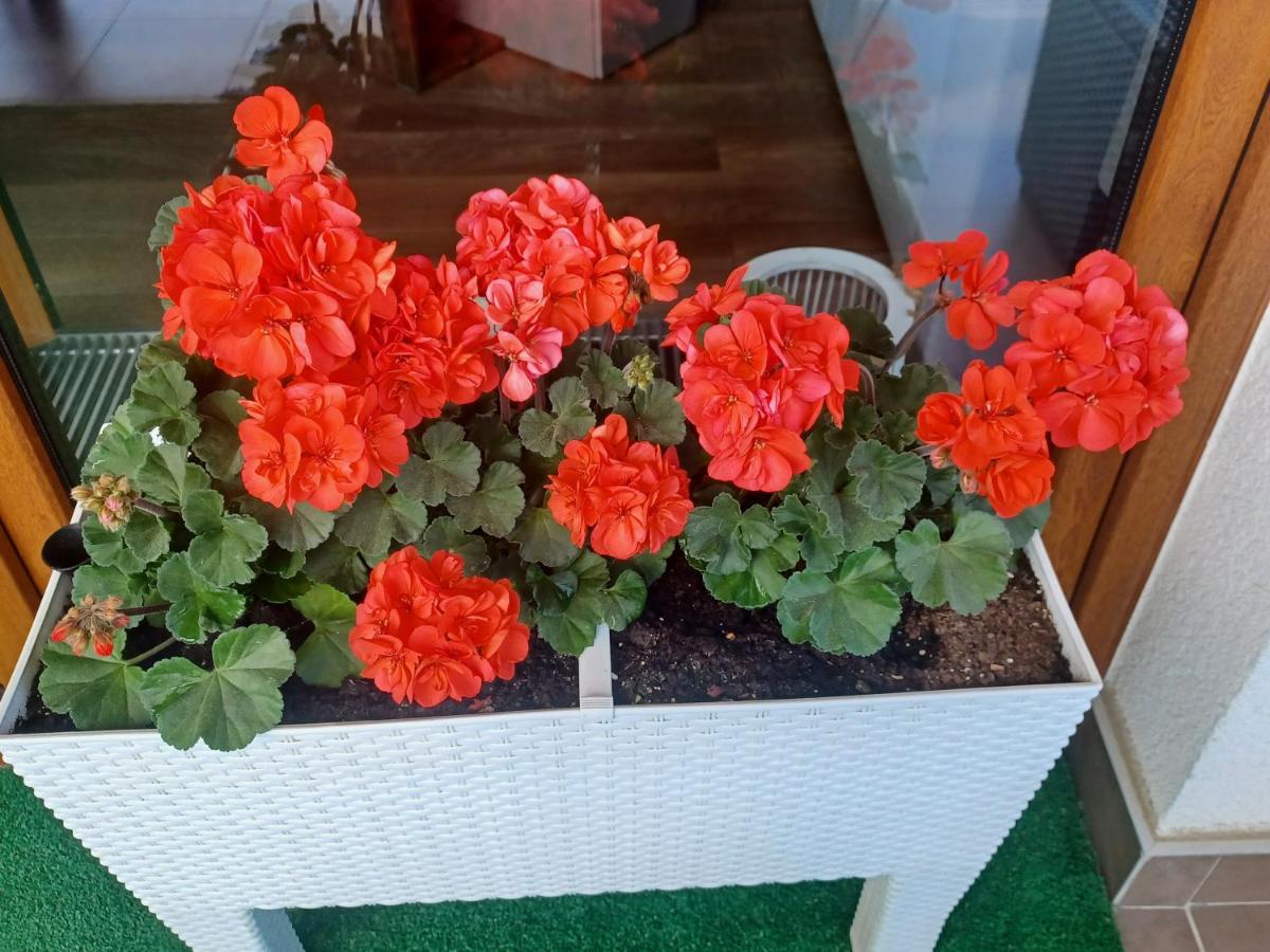 Apartament Z Widokiem Na Morze Dziwnowek Luaran gambar