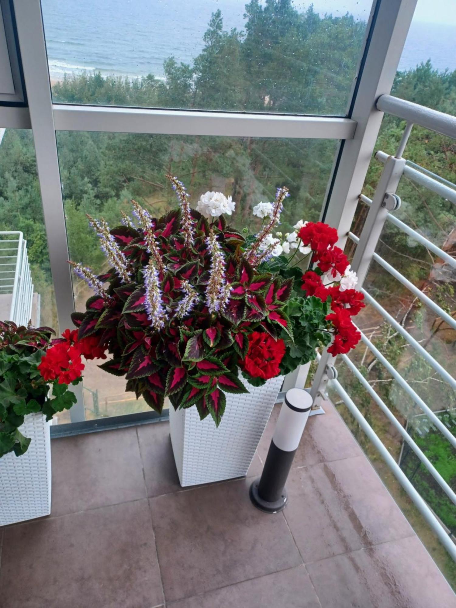 Apartament Z Widokiem Na Morze Dziwnowek Bilik gambar